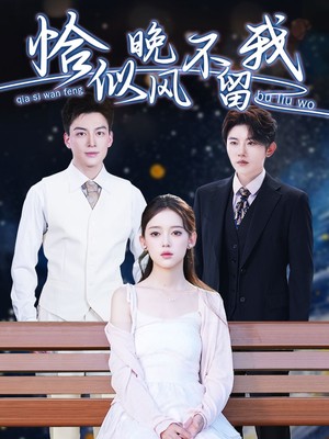 恰似晚风不留我