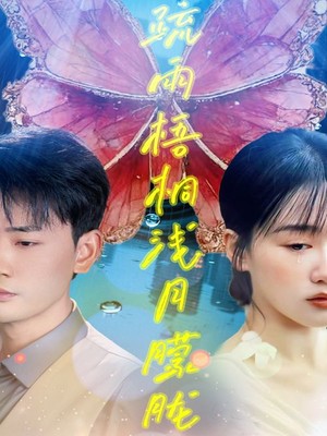 疏雨梧桐浅月朦胧