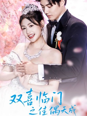 双喜临门之佳偶天成