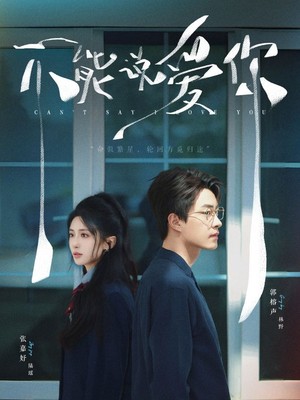 不能说爱你