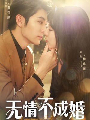 无情不成婚