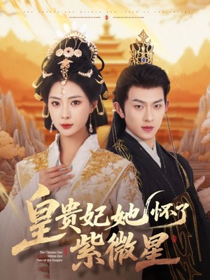 皇贵妃她怀了紫薇星