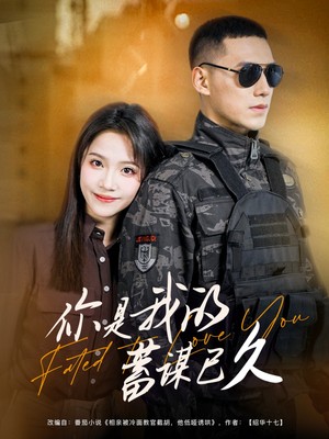 你是我的蓄谋已久