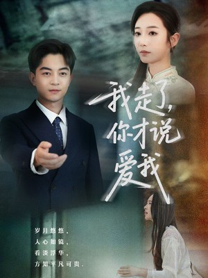 我走了你才说爱我