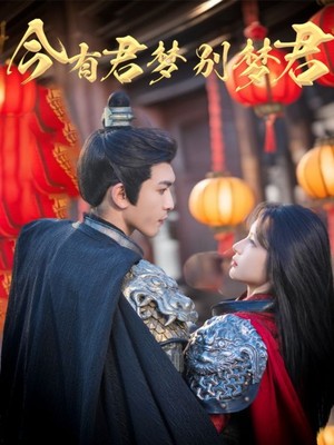 今有君梦别梦君