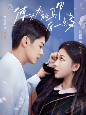 傅太太的马甲有一点多