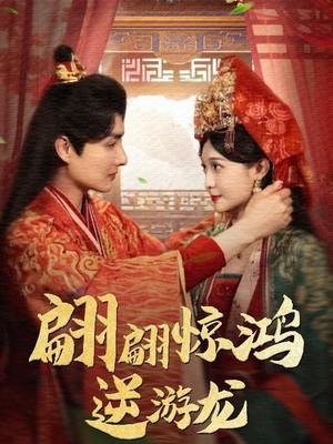 翩翩惊鸿逆游龙