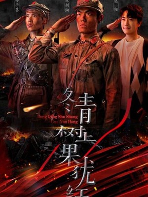 冬青树上果犹红