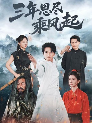 三年恩尽乘风起