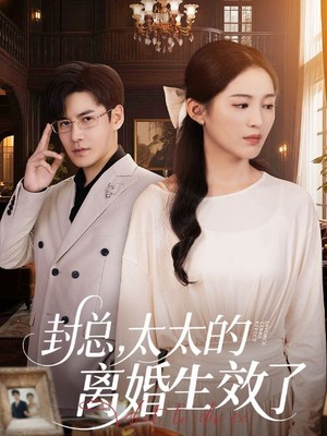 封总，太太的离婚生效了