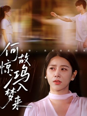 何故惊鸿入梦来