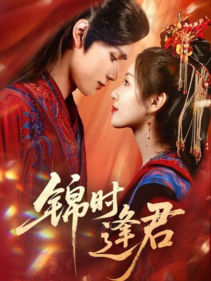 锦时逢君