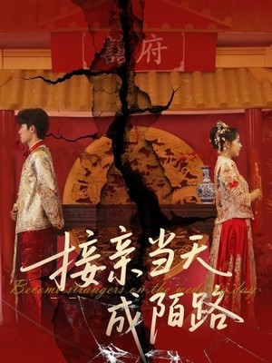 接亲当天成陌路