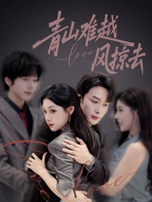 青山难越风掠去