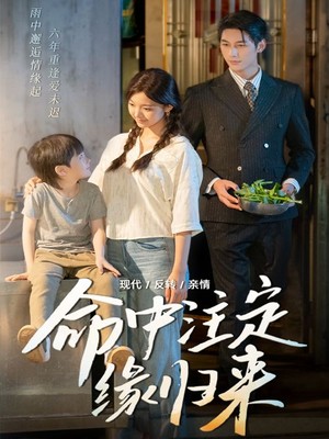 命中注定缘归来