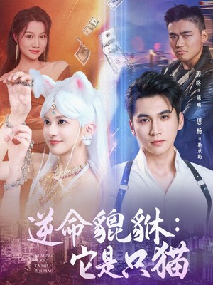 逆命貔貅：它是只猫