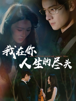 我在你人生的尽头