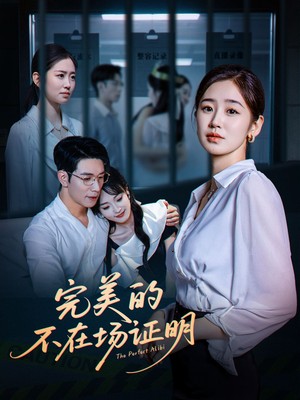 完美的不在场证明