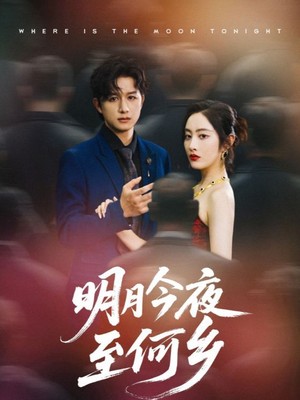 明月今夜至何乡