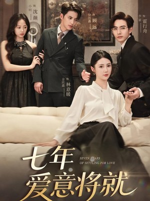 七年爱意将就