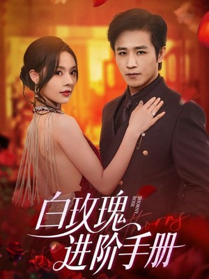 白玫瑰进阶手册