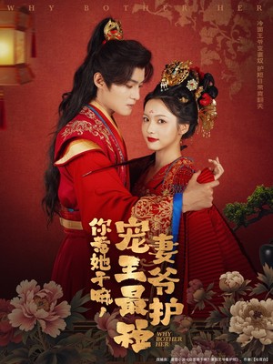 你惹她干嘛，宠妻王爷最护短