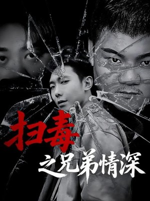 扫毒之兄弟情深