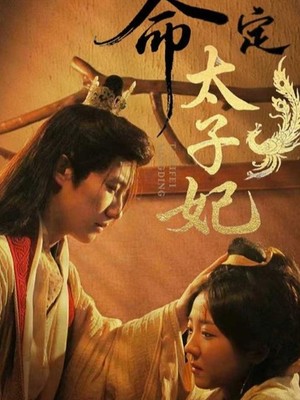 命定太子妃