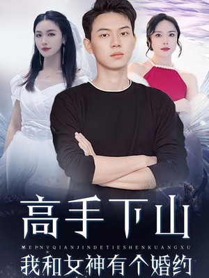 高手下山我和女神有个婚约