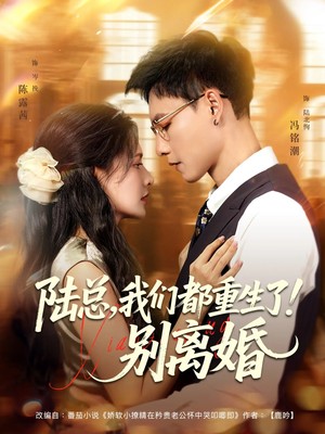 陆总我们都重生了！别离婚