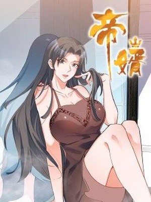 帝婿