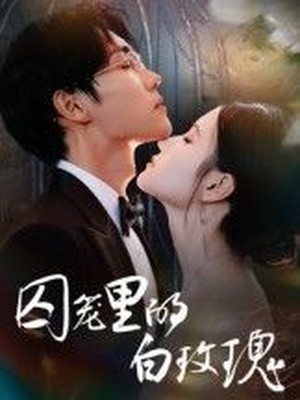 囚笼里的白玫瑰