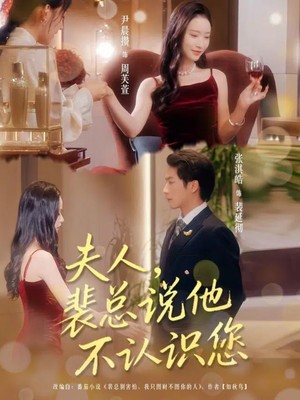 夫人裴总说他不认识您