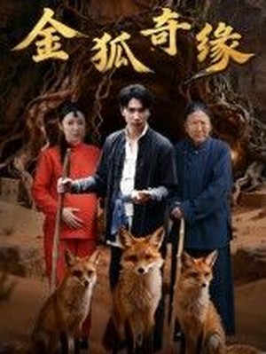 金狐奇缘