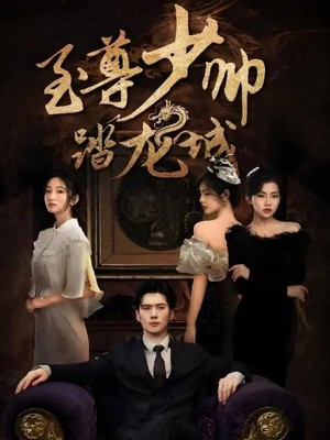 至尊少帅踏龙城