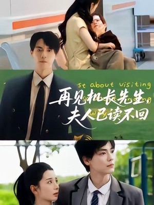 再见机长先生夫人已读不回
