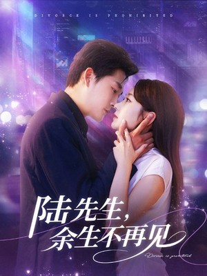 陆先生，余生不再见