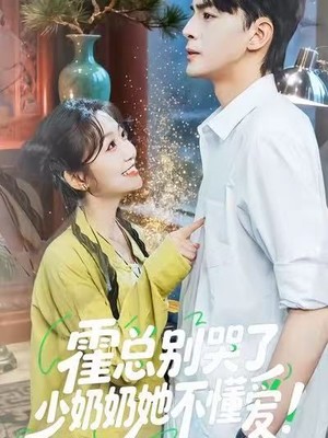 霍总别哭了少奶奶她不懂爱