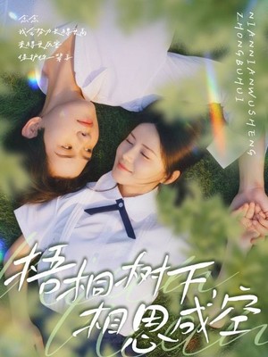 梧桐树下，相思成空