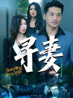 寻妻