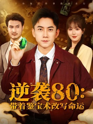 逆袭80带着鉴宝术改写命运
