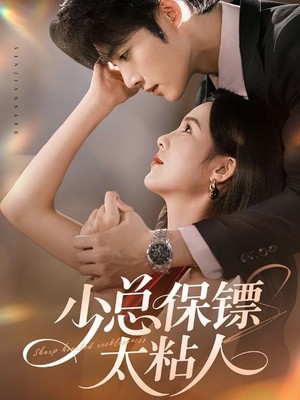 少总保镖太粘人