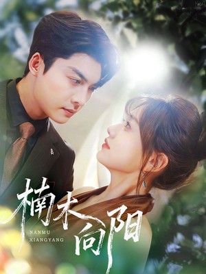 楠木向阳