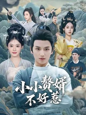 小小赘婿不好惹