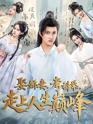 娶娇妻，考科举，走上人生巅峰