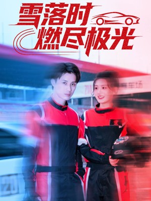 雪落时燃烬极光