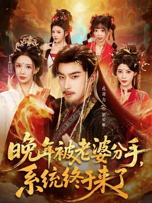 晚年被老婆分手，系统终于来了