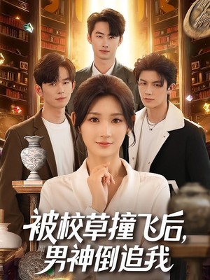 被校草撞飞后男神倒追我