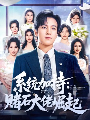 系统加持：赌石大佬崛起