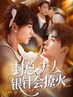 封总，夫人银针会撩火